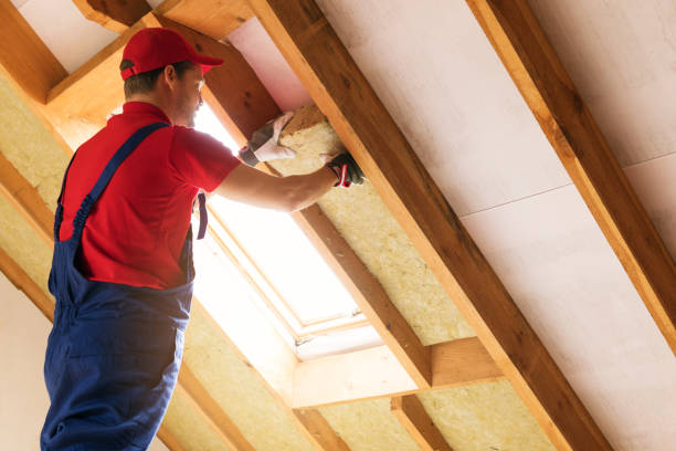 Best Attic Insulation Installation  in Lepanto, AR